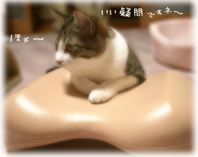 疑問に思うことは大事ですニャ～