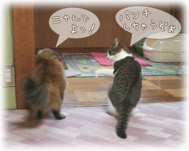 パンチするニャ~