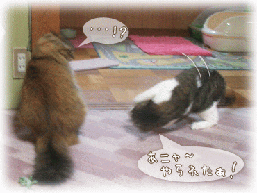 あニャ~やられたのニャ~