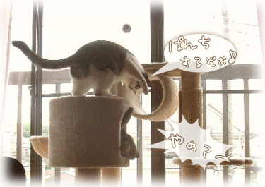 ぱんちしちゃうぞぉ～