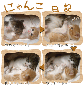 にゃんこ日記