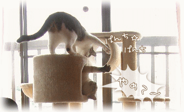 ぱんち☆　ぱんち☆