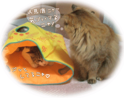 バレてるよぉ～