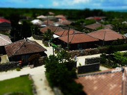 RIMG0478.jpg