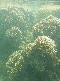 RIMG0172.jpg