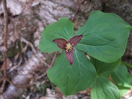 DSCF5804.jpg
