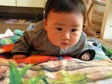 1ヶ月 6ヶ月 おおきくなぁ れ 楽天ブログ