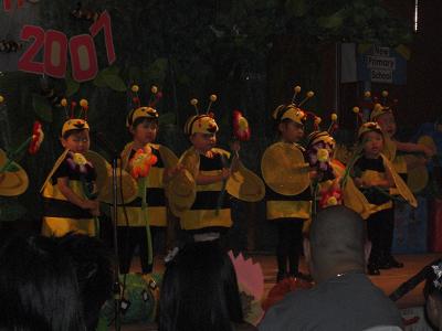 bee2