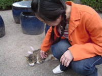 cat20050506003