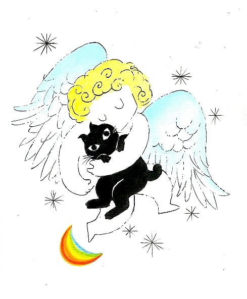 猫をさらう天使
