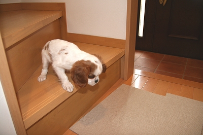 5月20日のメイ2