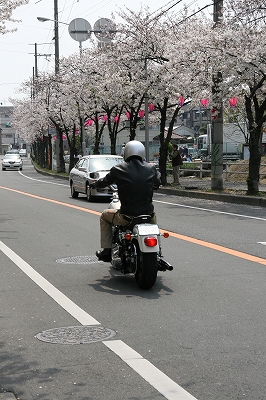 お出かけするダンナさん1