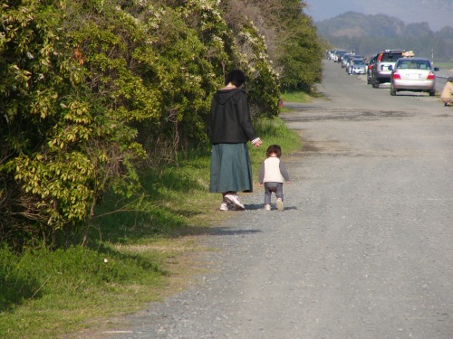 070326 滑走路脇の道