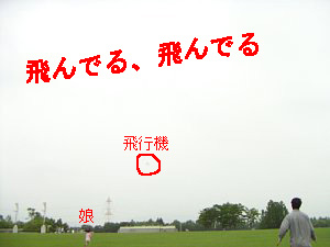 飛んでる飛んでる