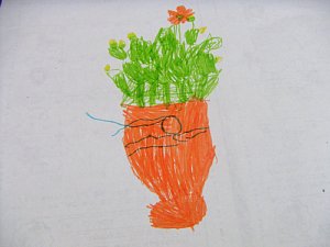キバナコスモスの絵
