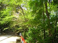 白峰神社前