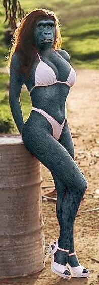 ゴリビューティ