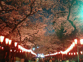 上野公園