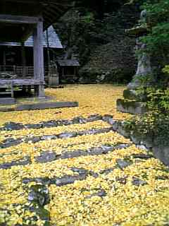 落葉神社落葉３