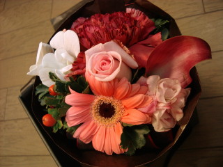 flores201104.jpg