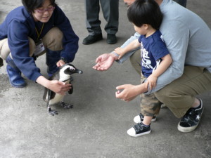 ペンギンさんちょっと怖い.JPG