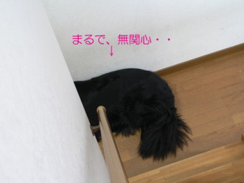まるで無関心.JPG