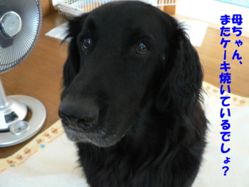 ケーキ焼いている？.JPG