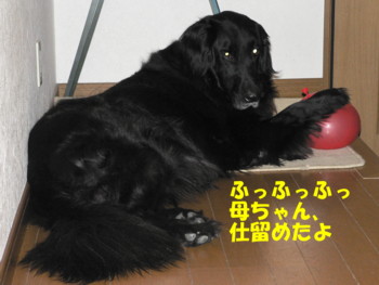 しとめたよ.JPG