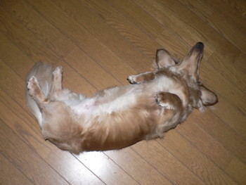 ちょっとすっきり.JPG