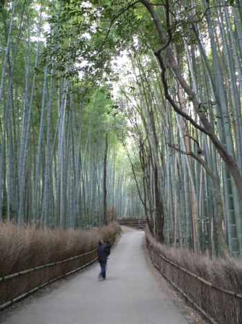 竹林