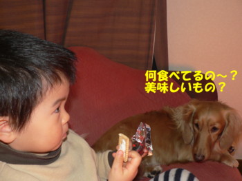 何食べているの？