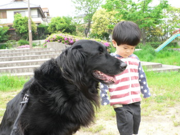 草もボーボー.JPG