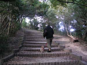 山登り