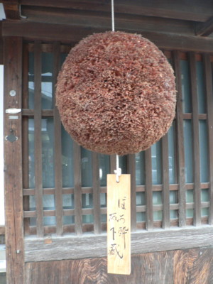 杉玉.JPG