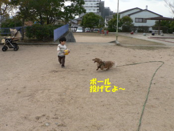 ボール投げてよ～.JPG