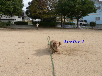 ハァハァ.JPG