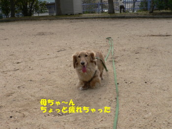 ちょっと疲れちゃった.JPG