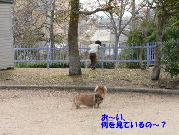 何を見てるの？.JPG