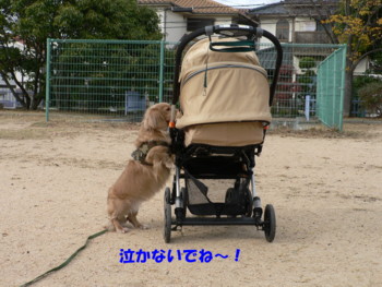 泣かないでね～.JPG