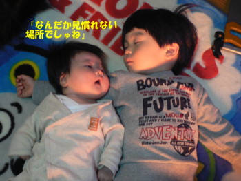 見慣れない場所でしゅね.JPG