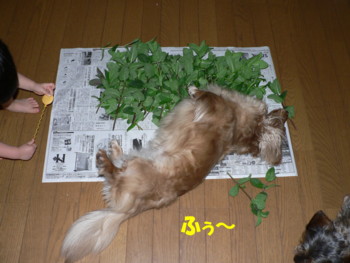ふぅ～.JPG