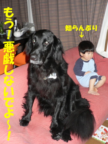 悪戯しないで～.JPG