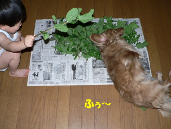 ふぅ～２.JPG