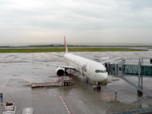 やっと来た飛行機.JPG