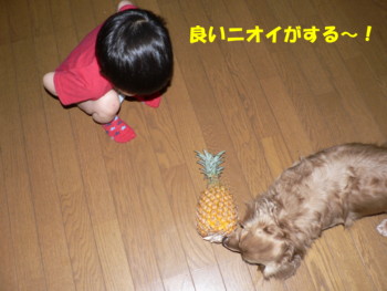 良い匂い.JPG