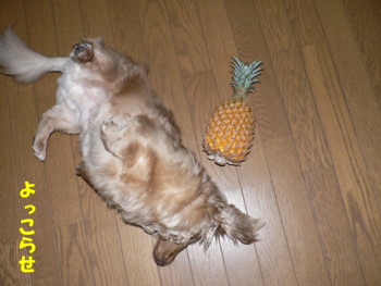 よっこらせ.JPG