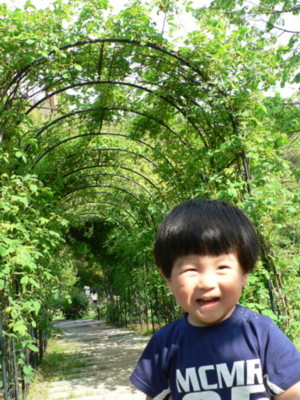 ハーブ園４.JPG