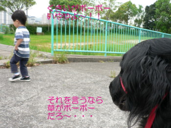 くさいがボーボー.JPG