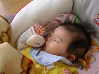 くまちゃん.JPG
