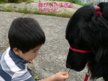 棒が小さいよ～.JPG